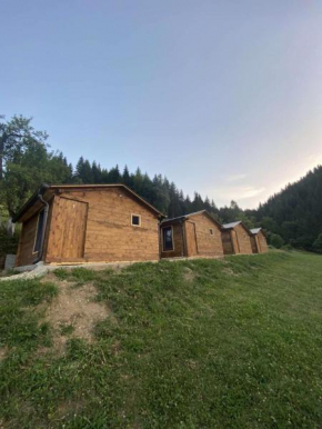 Bujtina Selimaj